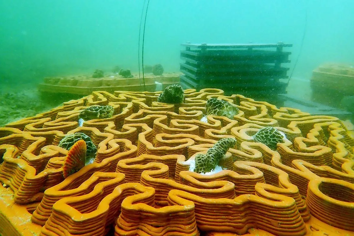 Ny beton kan genoprette marine økosystemer