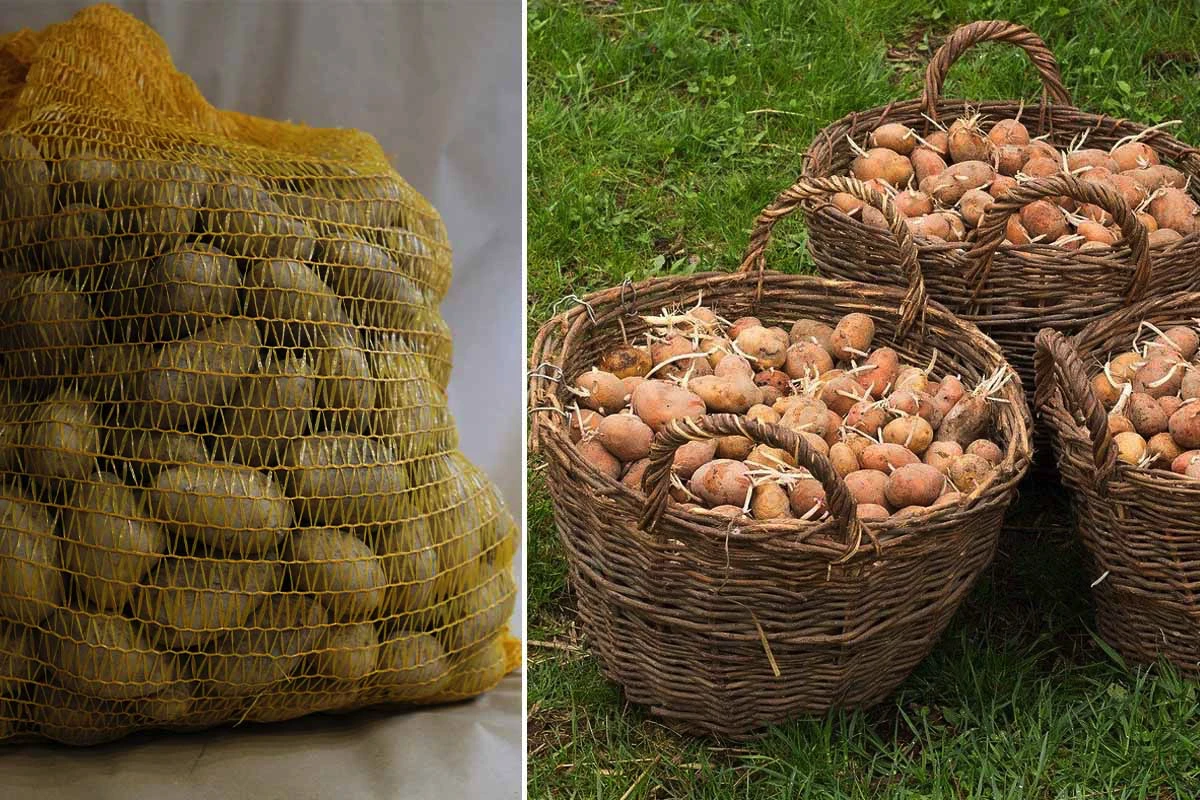 Kartofler I Sække
