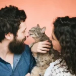 Kattens skjulte side: Kan de virkelig fordoble risikoen for skizofreni?
