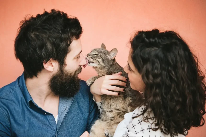 Kattens skjulte side: Kan de virkelig fordoble risikoen for skizofreni?