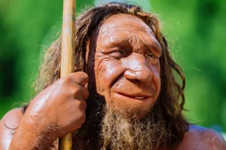 Neandertalerne uddøde aldrig: Nyt forskningschok i 2025 ændrer alt, vi troede om menneskets evolution