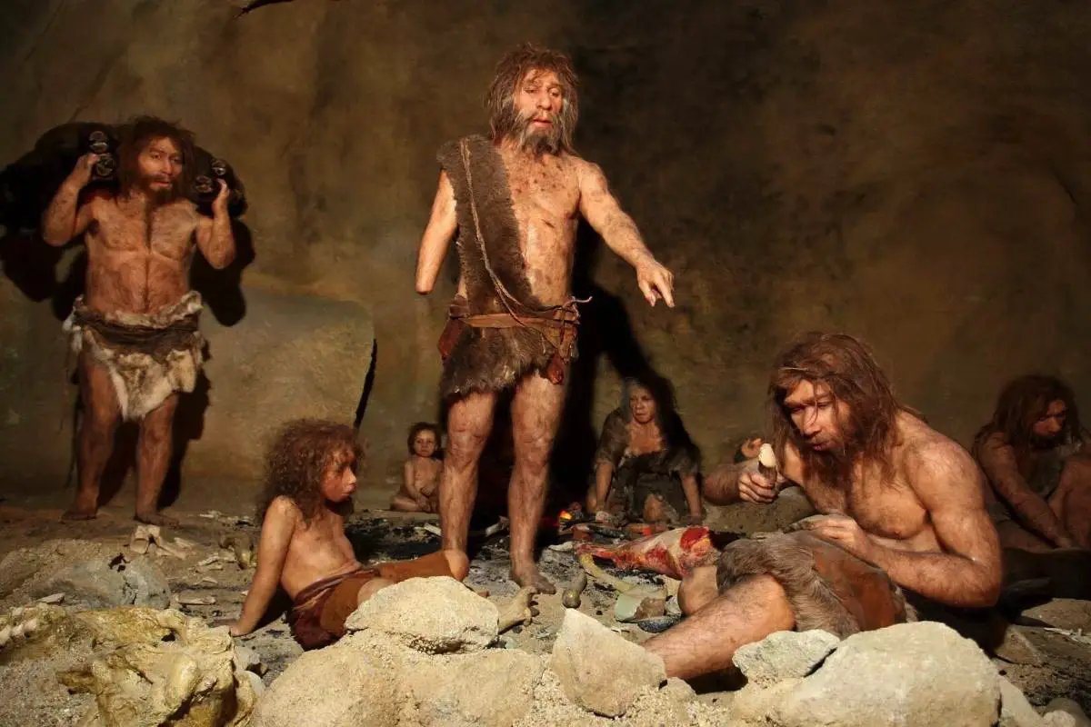 Neandertalerne uddøde aldrig: Nyt forskningschok i 2025 ændrer alt, vi troede om menneskets evolution