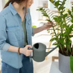 Tre Planter