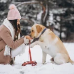 Hunden