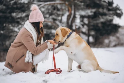 Hunden