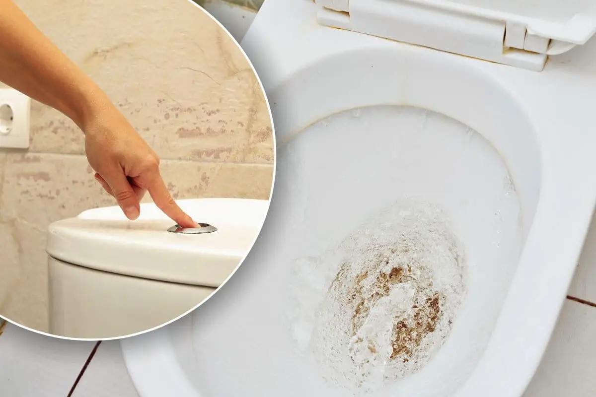 Hvordan danske VVS-folk gør toilettet skinnende hvidt igen