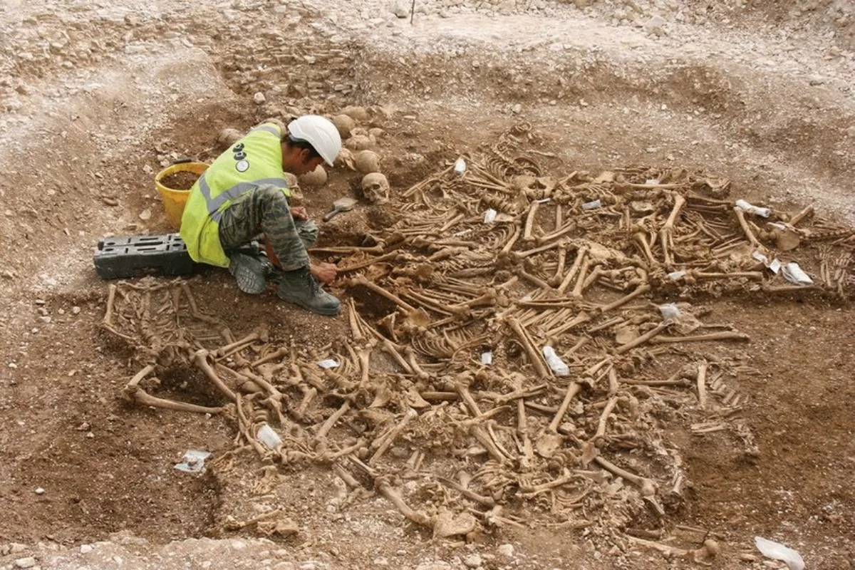 Vikingenes hemmelighed: Hvad arkeologerne fandt i sommer – det ændrer alt om deres hverdag