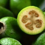 Feijoa: Den tropiske overraskelse, der vinder hjerter