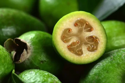 Feijoa: Den tropiske overraskelse, der vinder hjerter