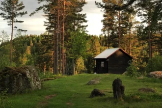 Sverige tilbyder gratis ophold i en skovhytte – men med én streng regel: fuldstændig stilhed