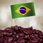 Brasilien satser stort på robusta-kaffe: Verdens største producent skifter spor