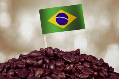 Brasilien satser stort på robusta-kaffe: Verdens største producent skifter spor