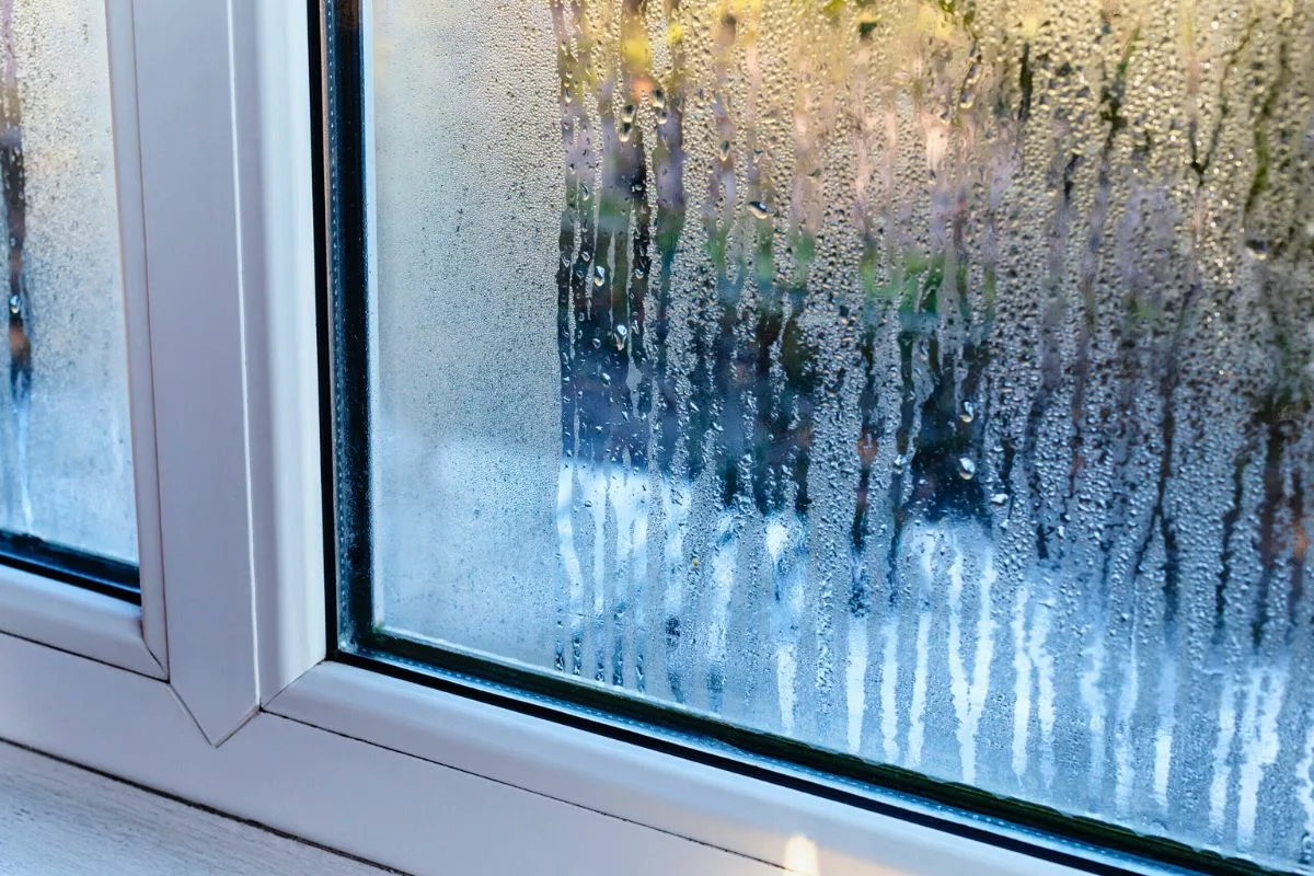 Aldrig mere dug på ruderne: Det simple trick med bagepulver