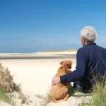 Den perfekte hund til bedstemor og bedstefar: 10 rolige racer