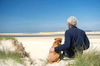 Den perfekte hund til bedstemor og bedstefar: 10 rolige racer