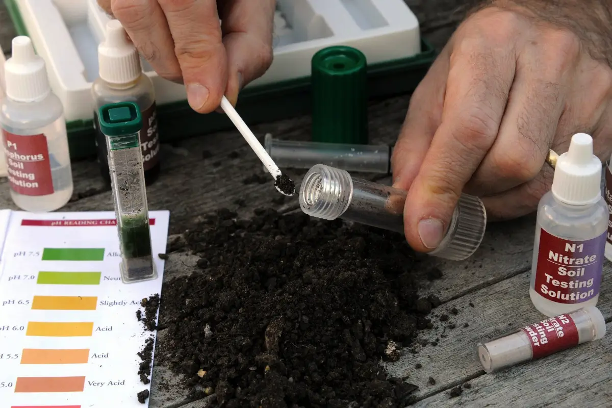 Pesticider i skyerne: Den usynlige gift, som regner ned over os alle