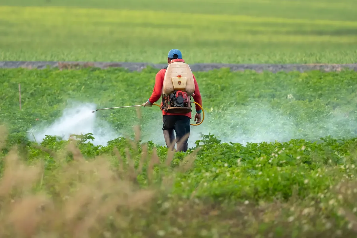 Pesticider i skyerne: Den usynlige gift, som regner ned over os alle