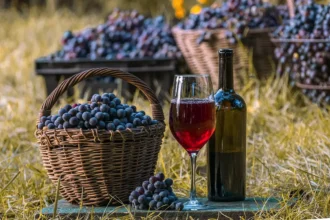 Sådan laver du vin af vand med rosiner – uden gær og magi