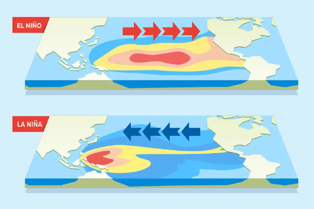 El Niño-effekten: hvordan ett hav styrer tørke og flom på tvers av kontinenter