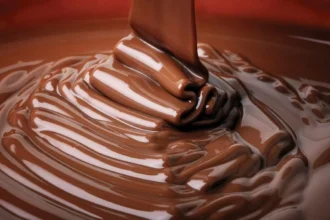 Forskere finder alternativ til kakao: Chokolade uden kakao-bønner?