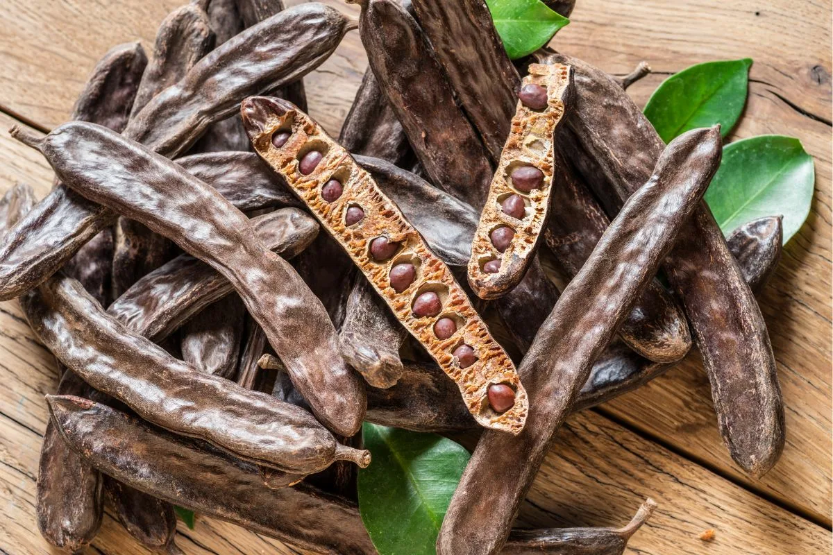 Forskere finder alternativ til kakao: Chokolade uden kakao-bønner?