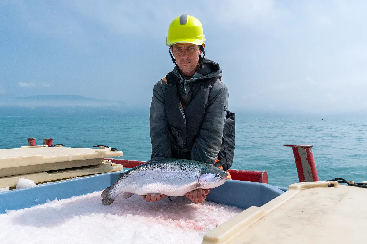 Historien om nordmanden, som opfandt laksesushi
