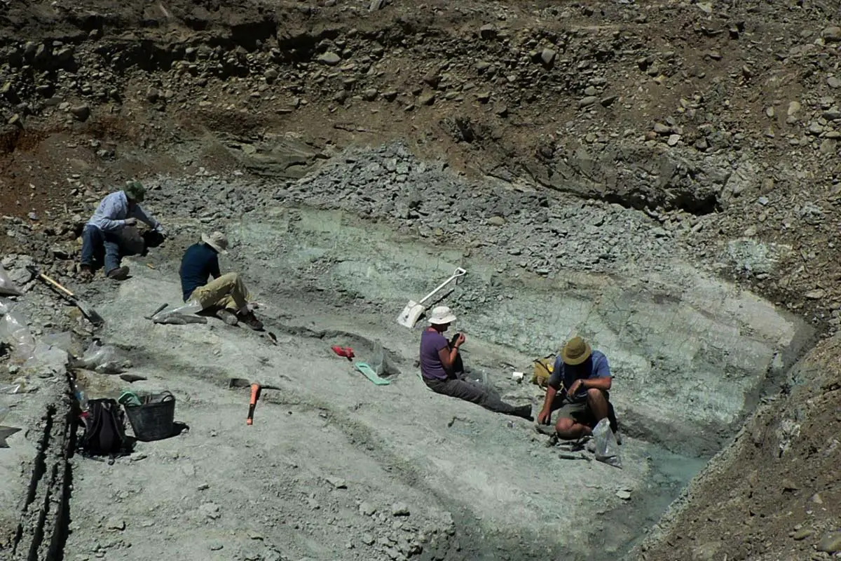 I en gammel hule i New Zealand gemte der sig en utrolig hemmelighed – hvad fandt videnskabsfolkene?