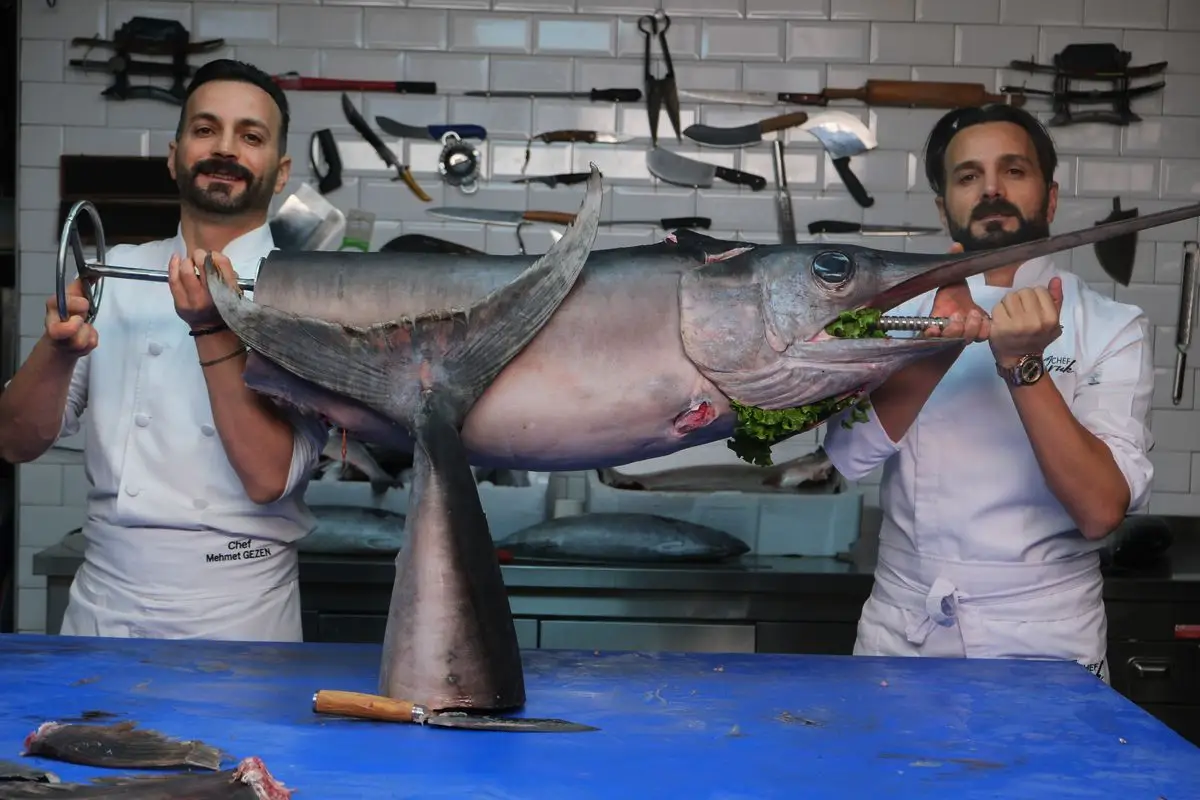 Svinekød fra havet: Hvordan sværdfisk bliver til pastrami, bacon og bolonæse