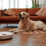 Hvorfor båndet til hunden ofte føles stærkere end forhold til mennesker: psykologen forklarer årsagen