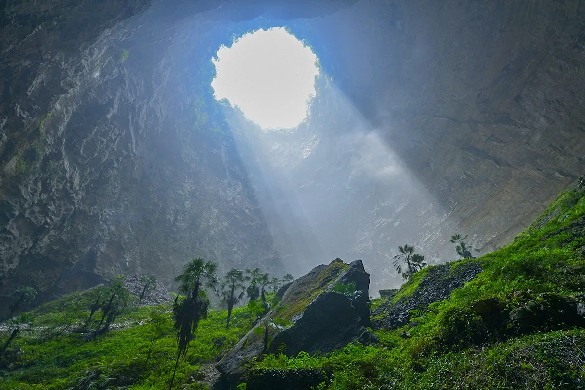 40 meter høje træer i total isolation: I Kina fandt de en urældgammel skov på bunden af en 190 meter dyb karst-vulkan