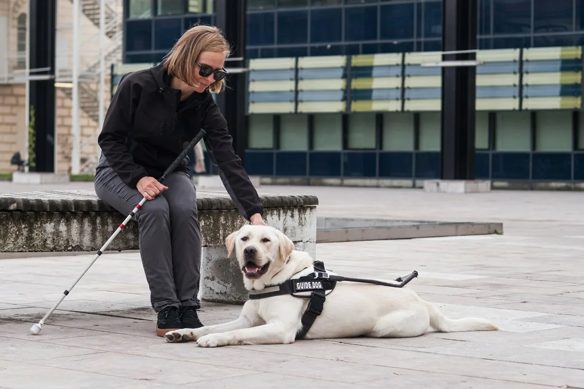 Kunstig intelligens tabte til dyrene: derfor kan robotter aldrig erstatte rigtige hunde