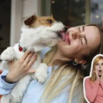 Hvorfor slikker din hund dig i ansigtet, hænder og ben?