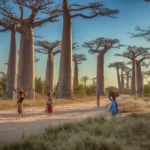 Madagaskar – øen med væsener, du ikke finder andre steder på Jorden