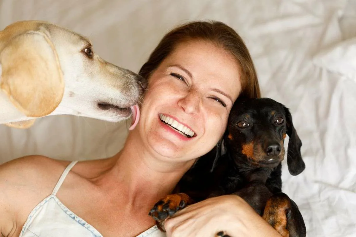 Hvorfor slikker din hund dig i ansigtet, hænder og ben?