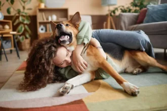 Hvorfor vælger hunden kun én person i familien?