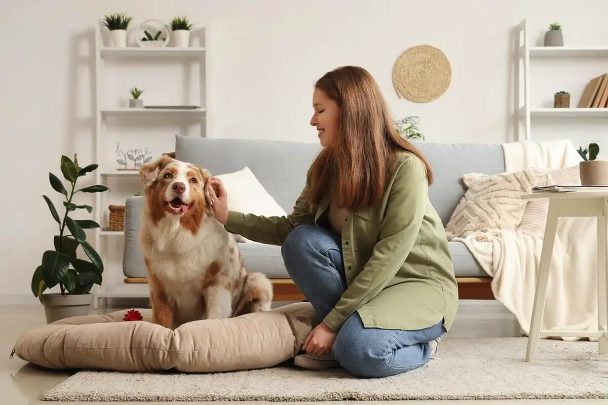 Hvorfor vælger hunden kun én person i familien?