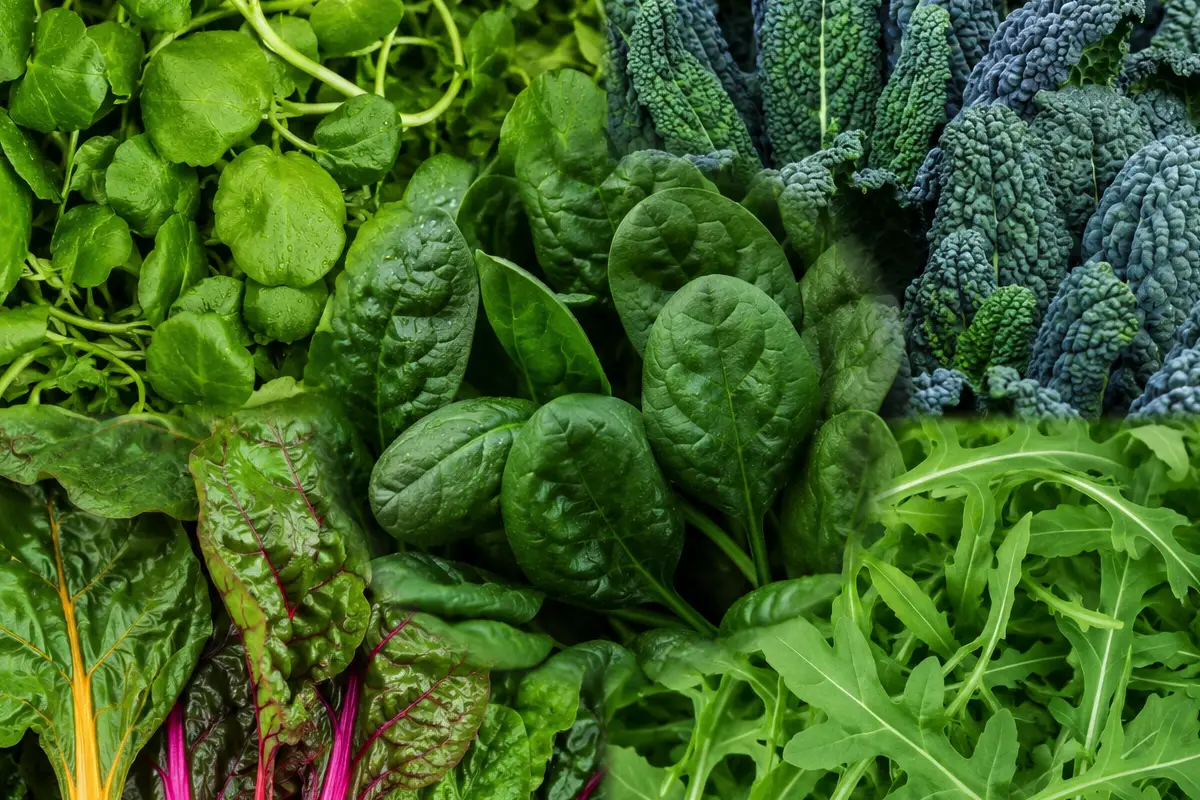 Bedre end salat: 5 grøntsager der giver meget mere næring