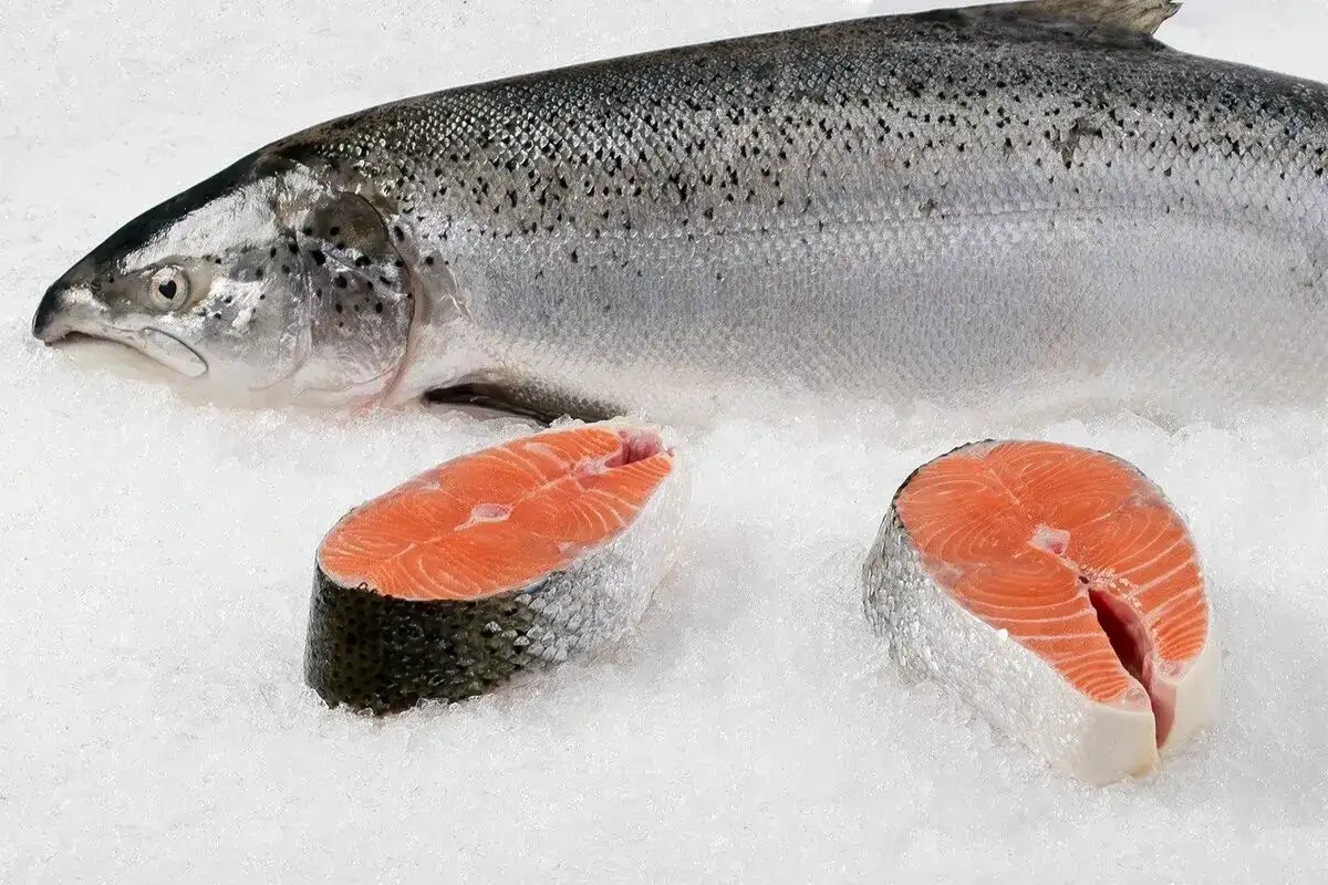 5 fiskesorter, man ikke bør købe ferske