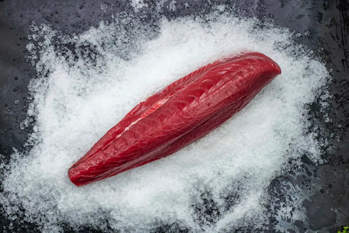 5 fiskesorter, man ikke bør købe ferske