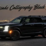 Hyundai har præsenteret den nye, helt sorte Palisade Calligraphy Black Ink